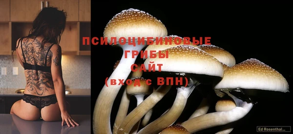 мяу мяу мука Вяземский