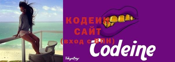 шишки Билибино