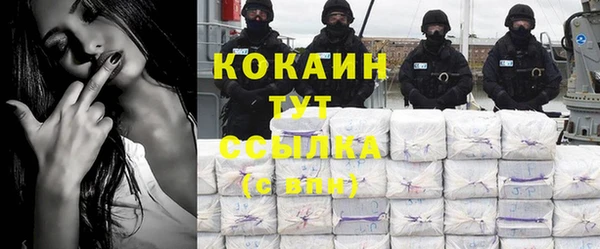 спайс Пересвет
