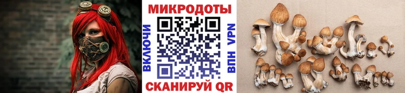 Псилоцибиновые грибы мухоморы  Губкин 
